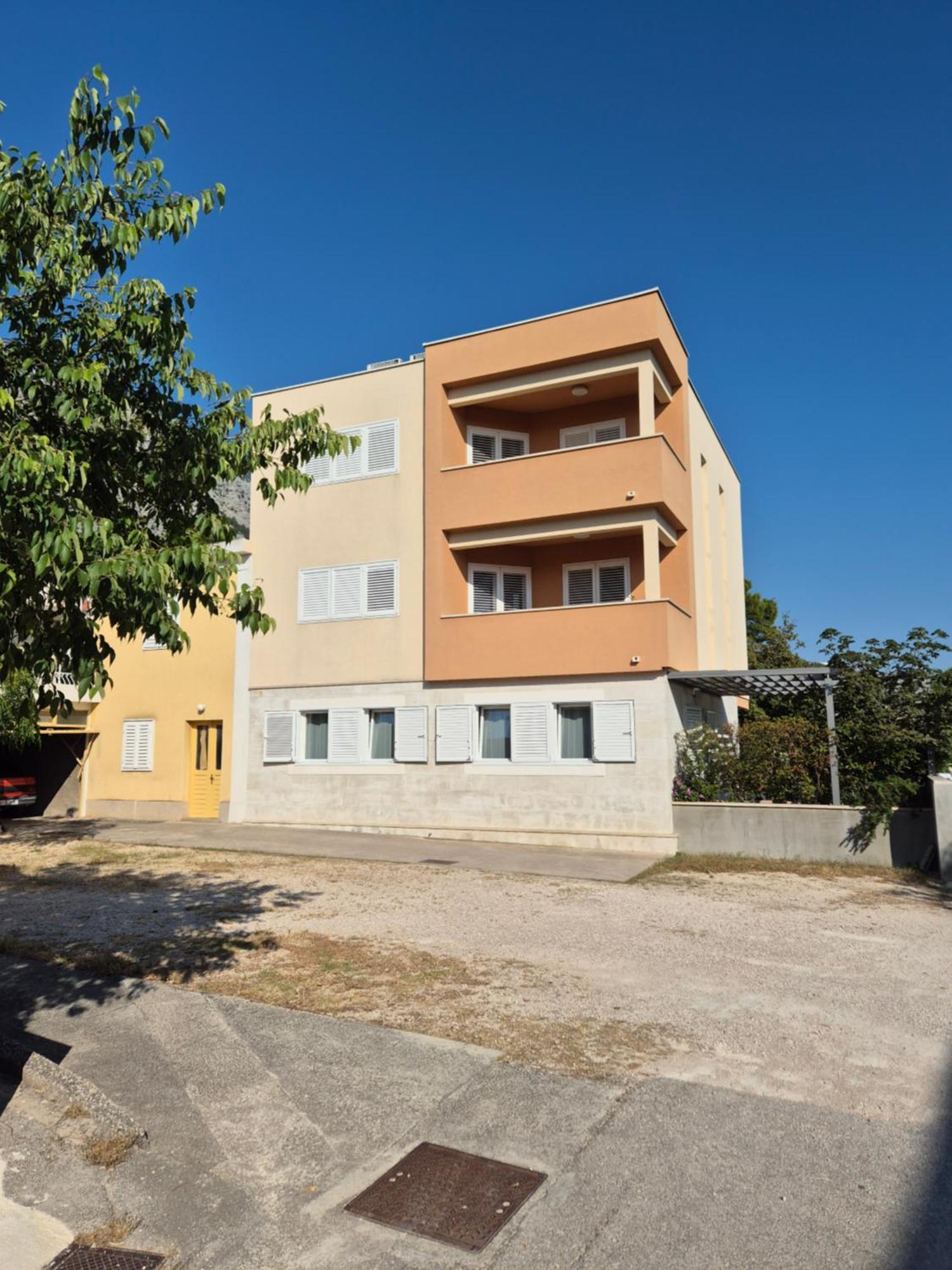 Bracera
